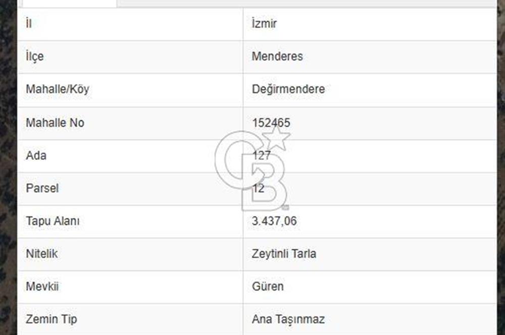 Menderes Değirmendere'de 1718 M² Satılık Tarla