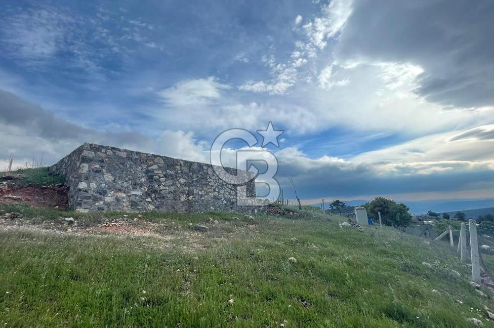 KEMALPAŞA DAMLACIKTA SATILIK YATIRIMLIK 800 M² TARLA