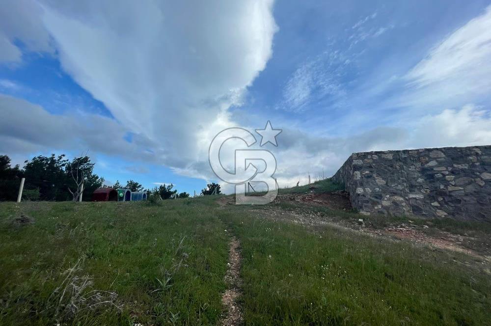 KEMALPAŞA DAMLACIKTA SATILIK YATIRIMLIK 800 M² TARLA