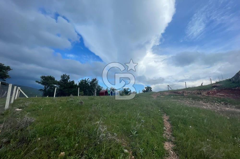 KEMALPAŞA DAMLACIKTA SATILIK YATIRIMLIK 800 M² TARLA