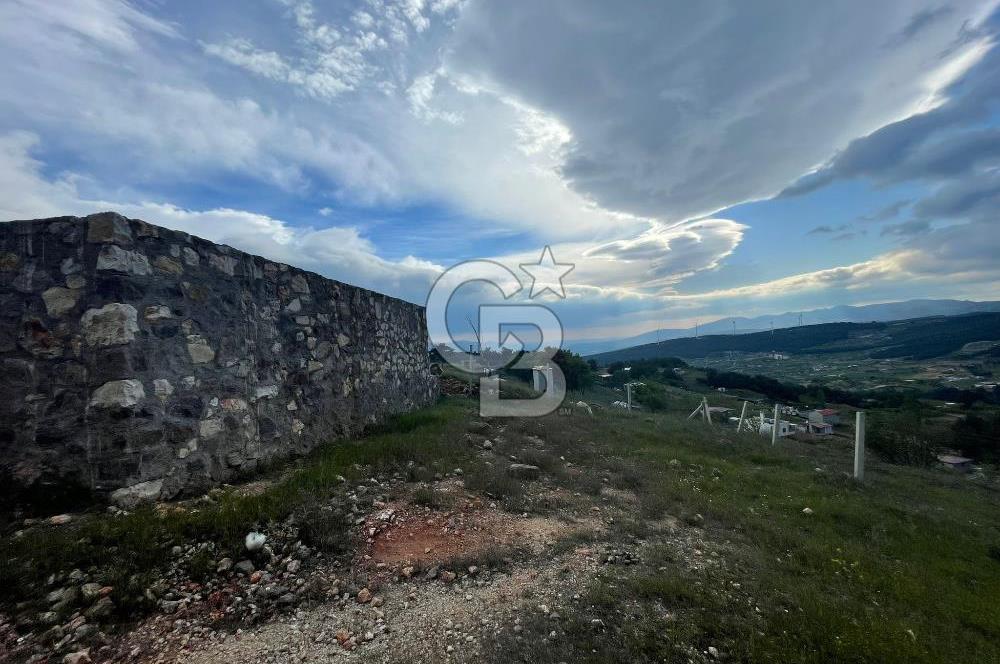 KEMALPAŞA DAMLACIKTA SATILIK YATIRIMLIK 800 M² TARLA