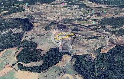 KEMALPAŞA DAMLACIKTA SATILIK YATIRIMLIK 800 M² TARLA
