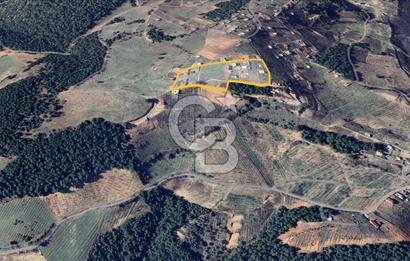 KEMALPAŞA DAMLACIKTA SATILIK YATIRIMLIK 800 M² TARLA