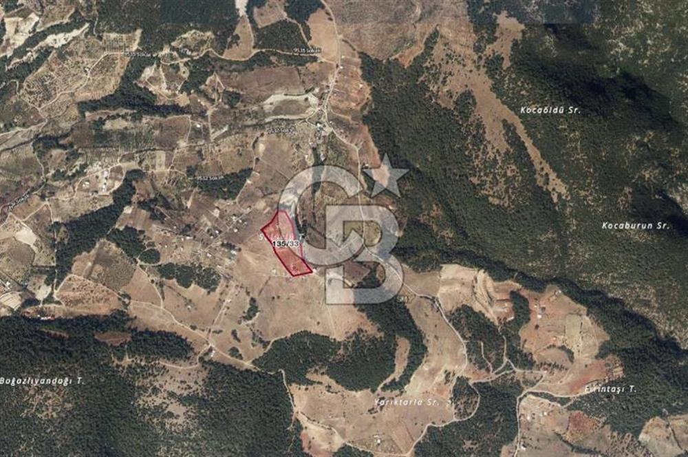 KEMALPAŞA DAMLACIKTA SATILIK YATIRIMLIK 800 M² TARLA