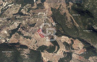 KEMALPAŞA DAMLACIKTA SATILIK YATIRIMLIK 800 M² TARLA