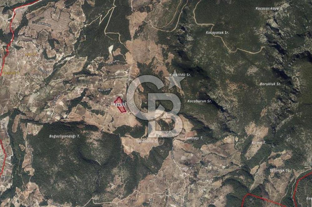 KEMALPAŞA DAMLACIKTA SATILIK YATIRIMLIK 800 M² TARLA