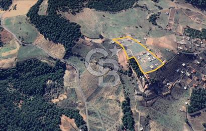 KEMALPAŞA DAMLACIKTA SATILIK YATIRIMLIK 800 M² TARLA
