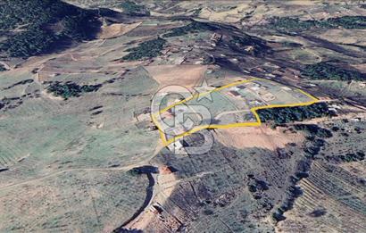 KEMALPAŞA DAMLACIKTA SATILIK YATIRIMLIK 800 M² TARLA