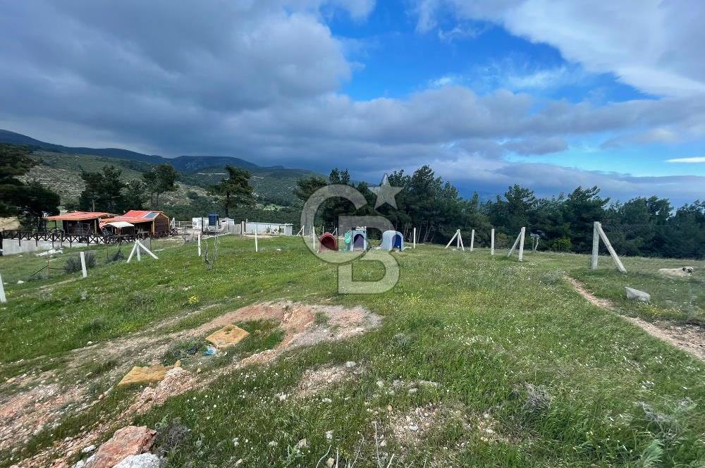 KEMALPAŞA DAMLACIKTA SATILIK YATIRIMLIK 800 M² TARLA