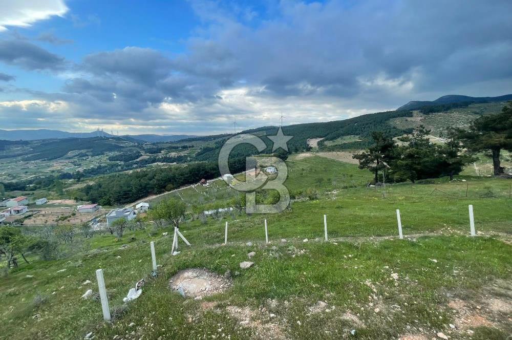 KEMALPAŞA DAMLACIKTA SATILIK YATIRIMLIK 800 M² TARLA