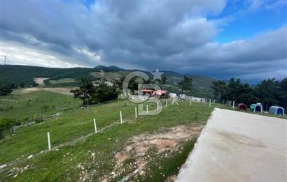 KEMALPAŞA DAMLACIKTA SATILIK YATIRIMLIK 800 M² TARLA