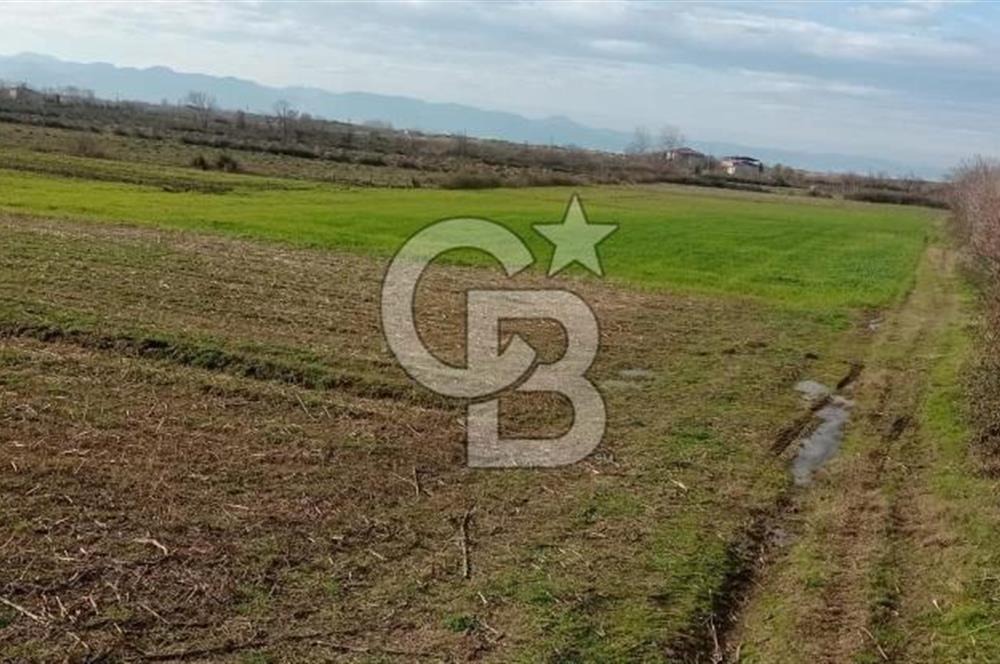 SAMSUN ÇARŞAMBA ÇALTI'DA YATIRIMLIK KUPON 18 DÖNÜM ARSA