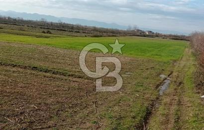 SAMSUN ÇARŞAMBA ÇALTI'DA YATIRIMLIK KUPON 18 DÖNÜM ARSA