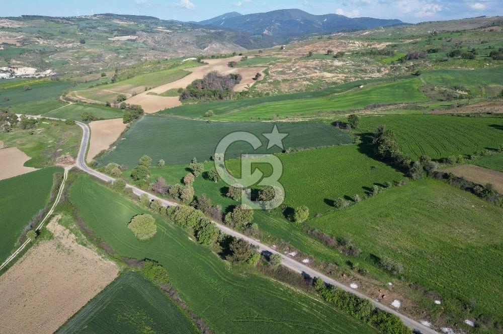 ÇANAKKALE MERKEZ KEMELDE ASFALT YOLA CEPHE FIRSAT TARLA