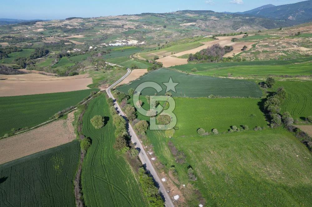 ÇANAKKALE MERKEZ KEMELDE ASFALT YOLA CEPHE FIRSAT TARLA