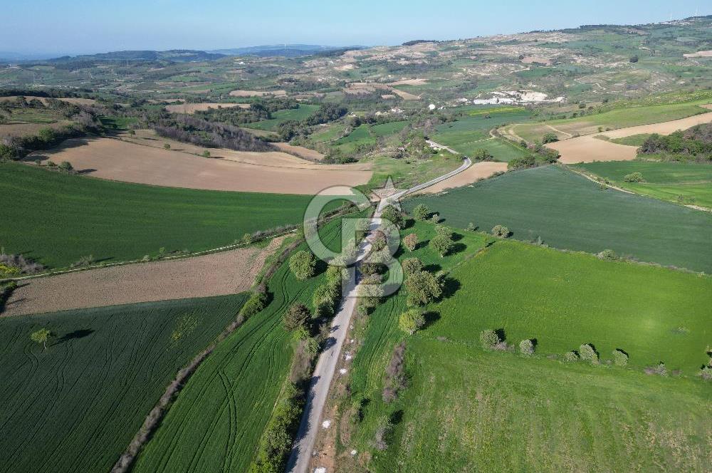 ÇANAKKALE MERKEZ KEMELDE ASFALT YOLA CEPHE FIRSAT TARLA