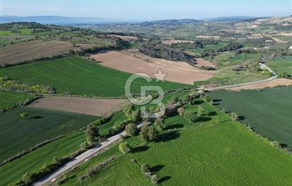 ÇANAKKALE MERKEZ KEMELDE ASFALT YOLA CEPHE FIRSAT TARLA