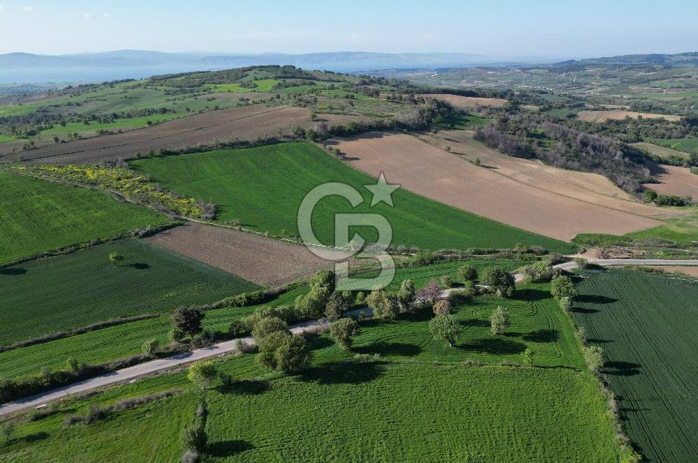 ÇANAKKALE MERKEZ KEMELDE ASFALT YOLA CEPHE FIRSAT TARLA