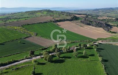 ÇANAKKALE MERKEZ KEMELDE ASFALT YOLA CEPHE FIRSAT TARLA