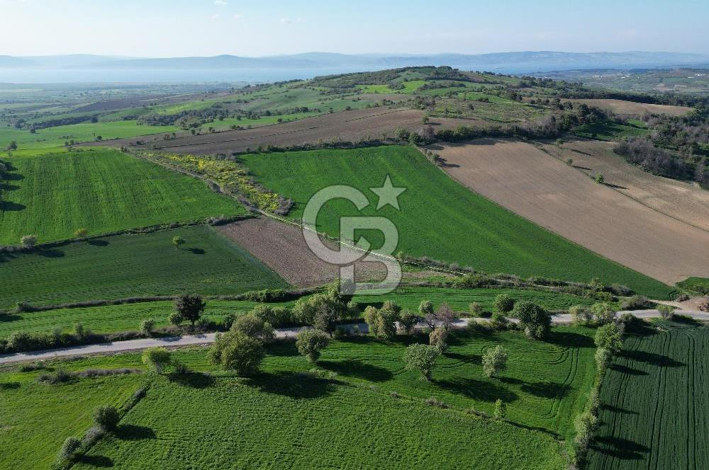 ÇANAKKALE MERKEZ KEMELDE ASFALT YOLA CEPHE FIRSAT TARLA