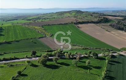 ÇANAKKALE MERKEZ KEMELDE ASFALT YOLA CEPHE FIRSAT TARLA