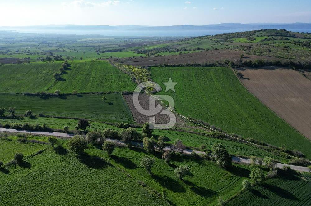 ÇANAKKALE MERKEZ KEMELDE ASFALT YOLA CEPHE FIRSAT TARLA