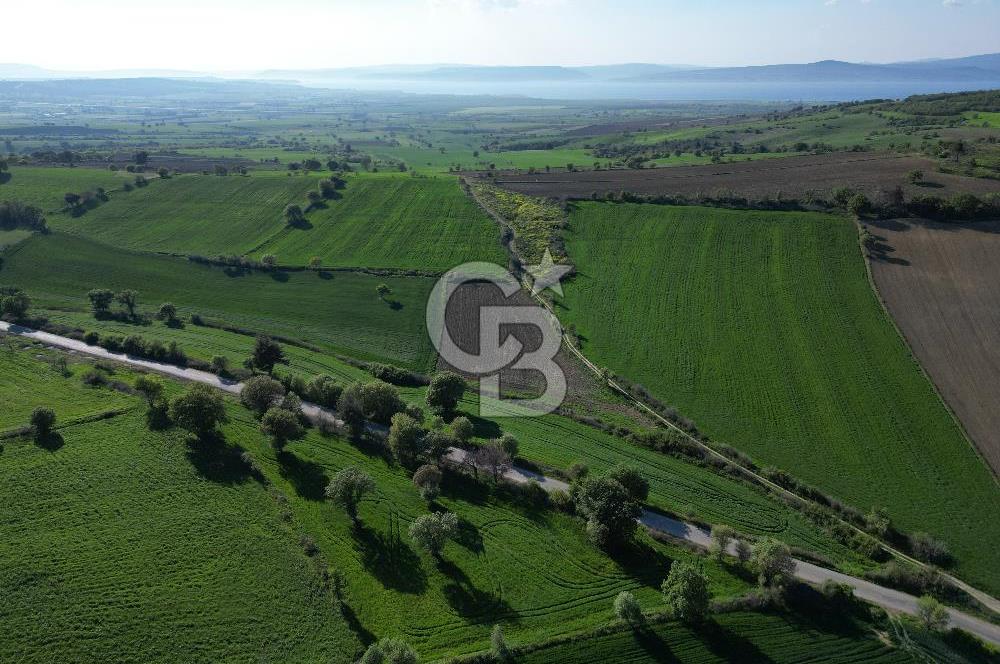 ÇANAKKALE MERKEZ KEMELDE ASFALT YOLA CEPHE FIRSAT TARLA