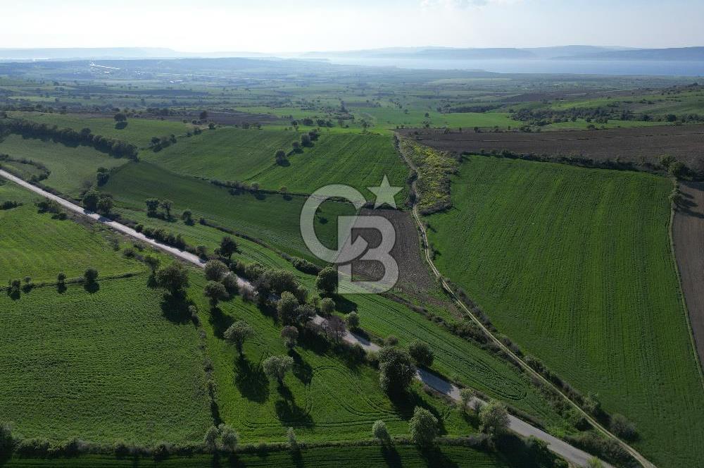 ÇANAKKALE MERKEZ KEMELDE ASFALT YOLA CEPHE FIRSAT TARLA