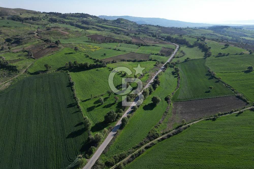 ÇANAKKALE MERKEZ KEMELDE ASFALT YOLA CEPHE FIRSAT TARLA