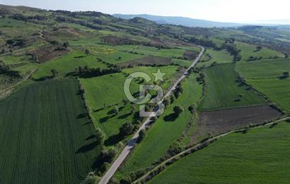 ÇANAKKALE MERKEZ KEMELDE ASFALT YOLA CEPHE FIRSAT TARLA