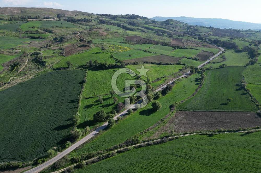 ÇANAKKALE MERKEZ KEMELDE ASFALT YOLA CEPHE FIRSAT TARLA