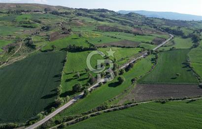 ÇANAKKALE MERKEZ KEMELDE ASFALT YOLA CEPHE FIRSAT TARLA