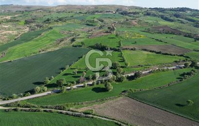 ÇANAKKALE MERKEZ KEMELDE ASFALT YOLA CEPHE FIRSAT TARLA