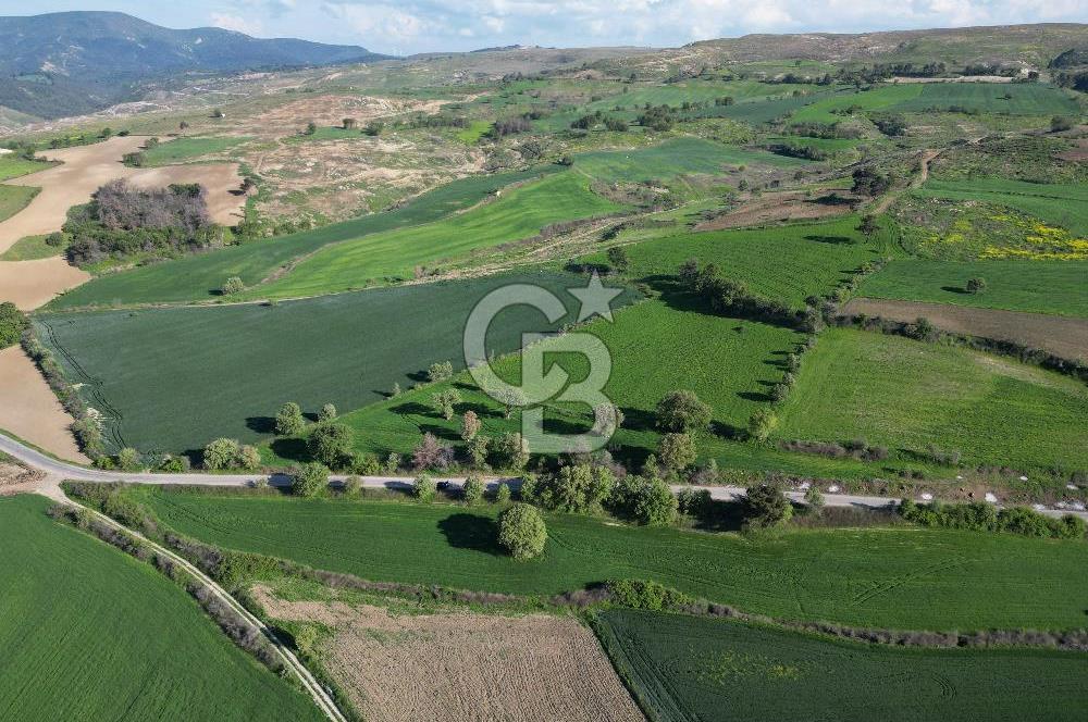 ÇANAKKALE MERKEZ KEMELDE ASFALT YOLA CEPHE FIRSAT TARLA