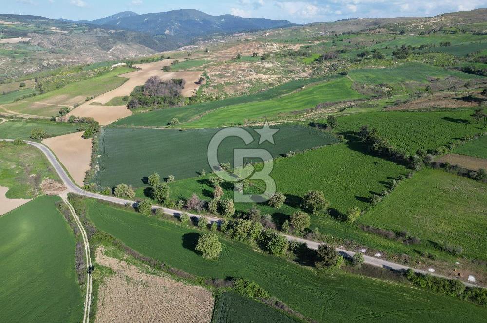 ÇANAKKALE MERKEZ KEMELDE ASFALT YOLA CEPHE FIRSAT TARLA