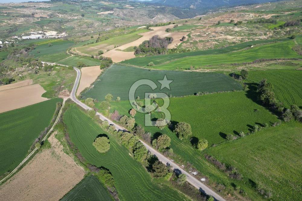 ÇANAKKALE MERKEZ KEMELDE ASFALT YOLA CEPHE FIRSAT TARLA