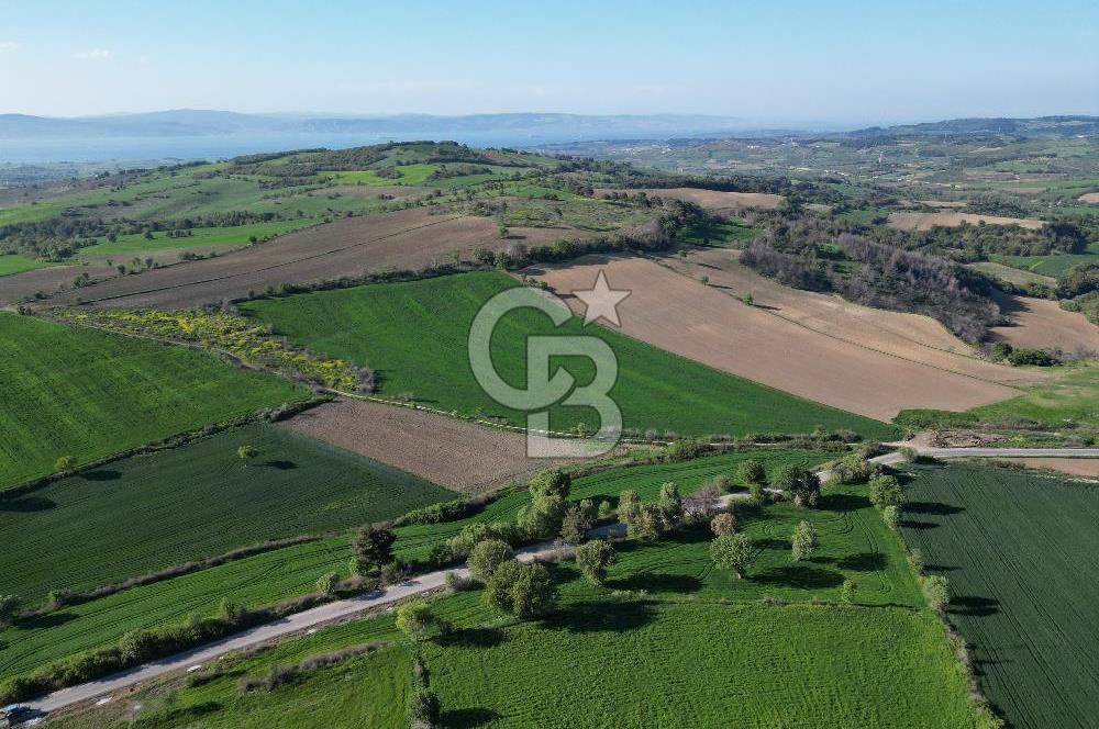ÇANAKKALE MERKEZ KEMELDE ASFALT YOLA CEPHE FIRSAT TARLA