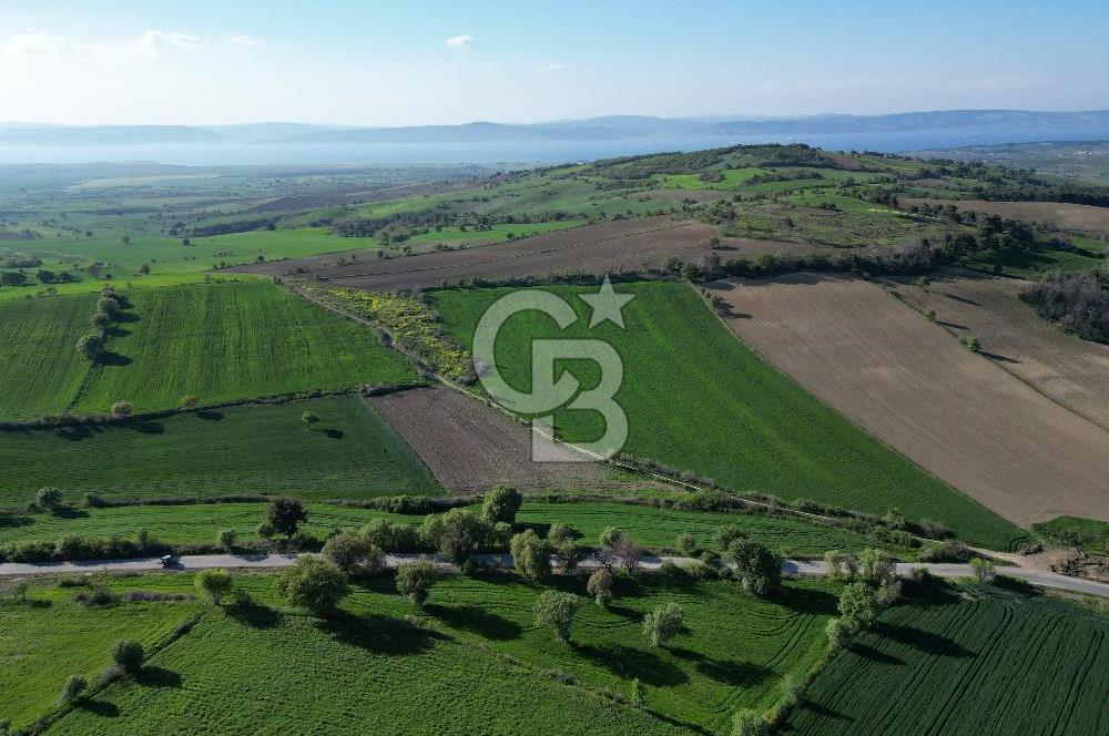 ÇANAKKALE MERKEZ KEMELDE ASFALT YOLA CEPHE FIRSAT TARLA