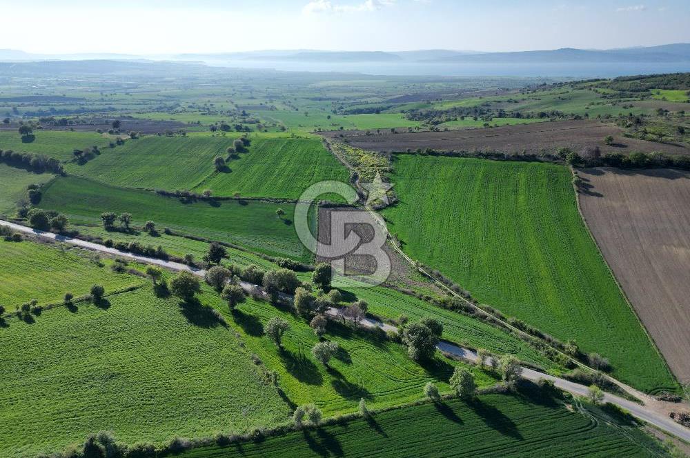 ÇANAKKALE MERKEZ KEMELDE ASFALT YOLA CEPHE FIRSAT TARLA