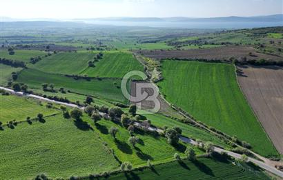 ÇANAKKALE MERKEZ KEMELDE ASFALT YOLA CEPHE FIRSAT TARLA