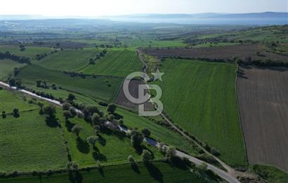 ÇANAKKALE MERKEZ KEMELDE ASFALT YOLA CEPHE FIRSAT TARLA