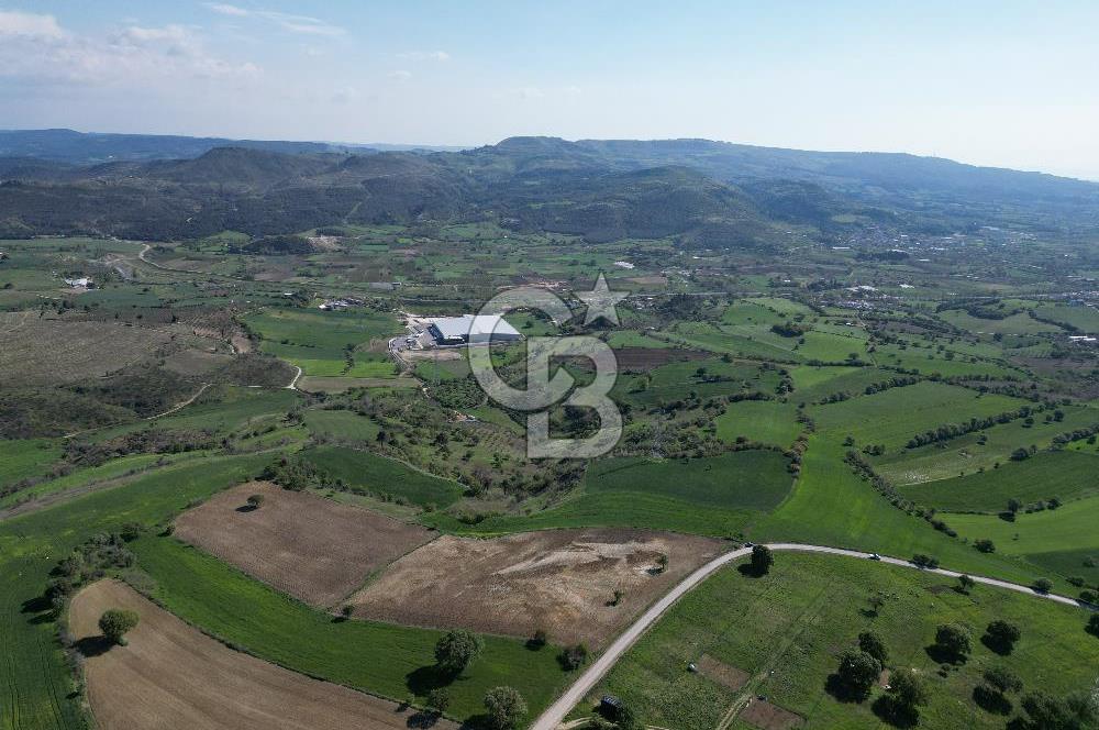 ÇANAKKALE MERKEZ KEMELDE DENİZ MANZARALI TARLA