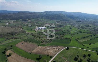 ÇANAKKALE MERKEZ KEMELDE DENİZ MANZARALI TARLA