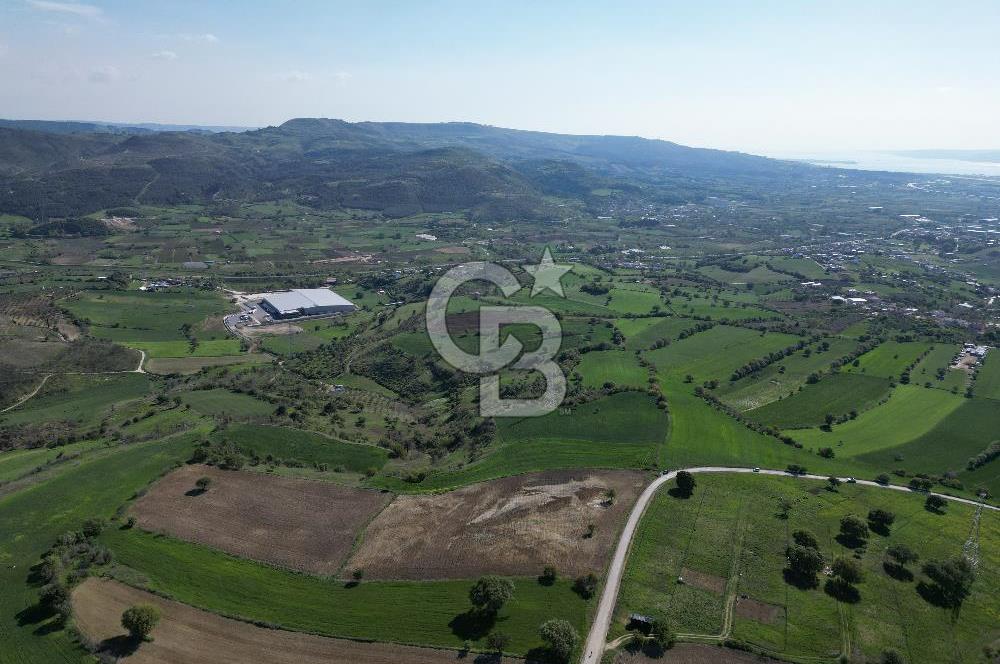 ÇANAKKALE MERKEZ KEMELDE DENİZ MANZARALI TARLA