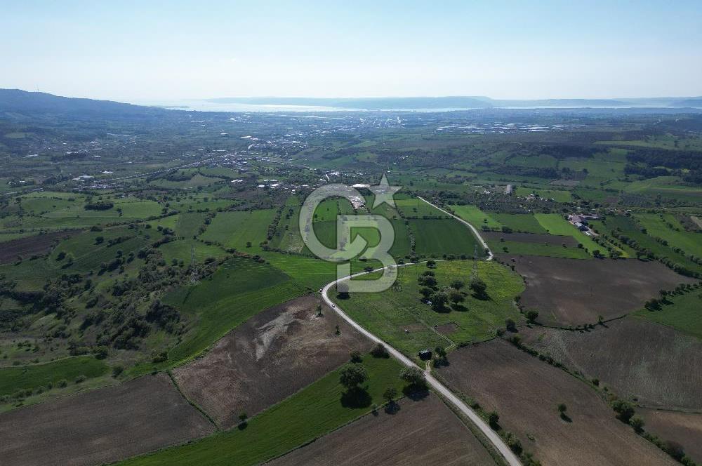ÇANAKKALE MERKEZ KEMELDE DENİZ MANZARALI TARLA