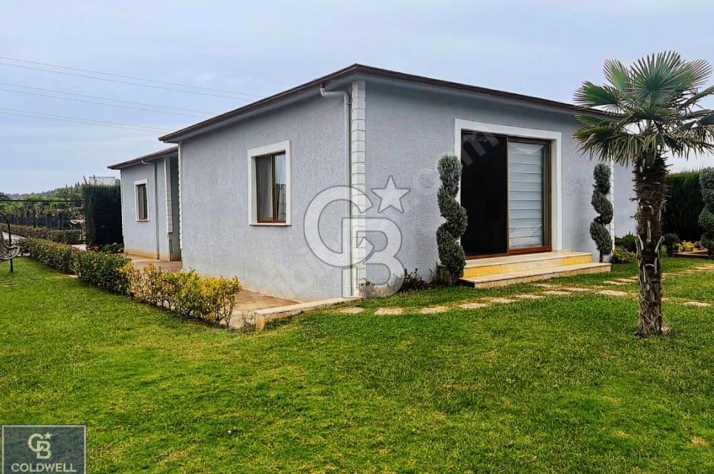 YALOVA ÇINARCIK'TA SATILIK ÇİFTLİK