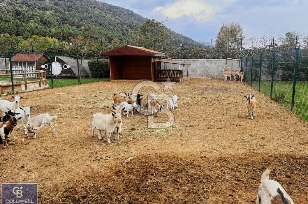 YALOVA ÇINARCIK'TA SATILIK ÇİFTLİK