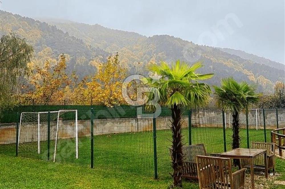 YALOVA ÇINARCIK'TA SATILIK ÇİFTLİK