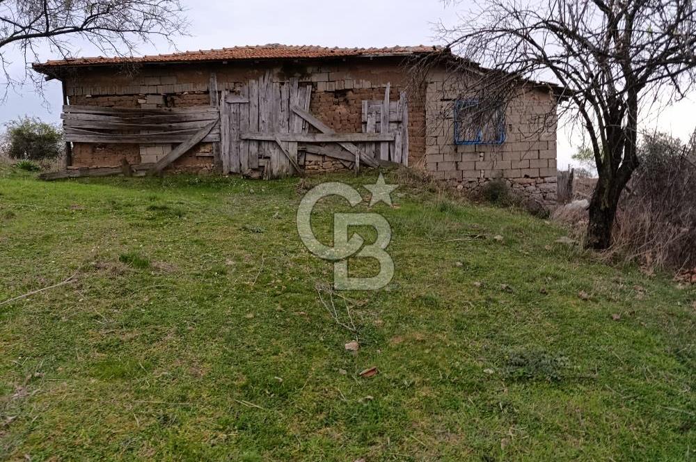UYGUN FİYATA DOĞA İLE İÇ İÇE, HUZURLU YAŞAM FIRSATI! 