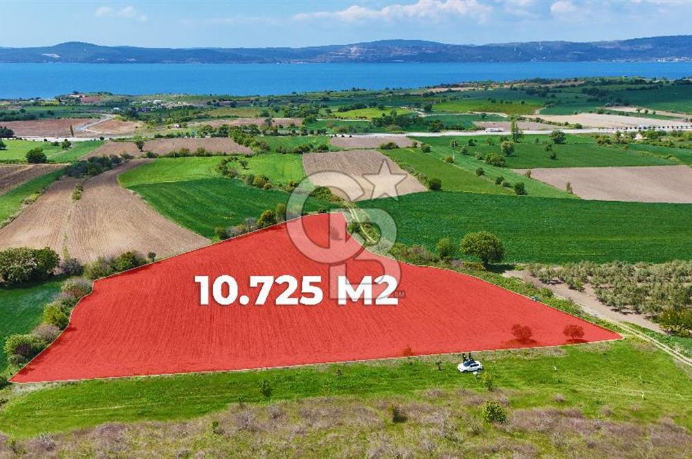 ÇANAKKALE LAPSEKİ KANGIRLI SATILIK TARLA BOĞAZ VE KÖPRÜ MANZARALI 